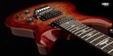 PRS SE Custom 24 Floyd Charcoal Cherry Burst NEW