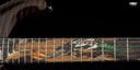 PRS Private Stock 40th Anniversary McCarty Dragon Burnt Chestnut 1 Of 165 NEW